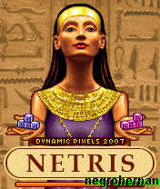 Download 'Netris (240x320)' to your phone